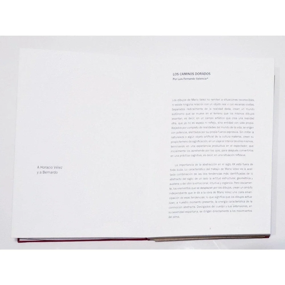 BOOK LOS CAMINOS DORADOS MARIO VELEZ "SIGNED" ARTIST "LTD EDITION" ART HARDCOVER - Picture 4 of 12